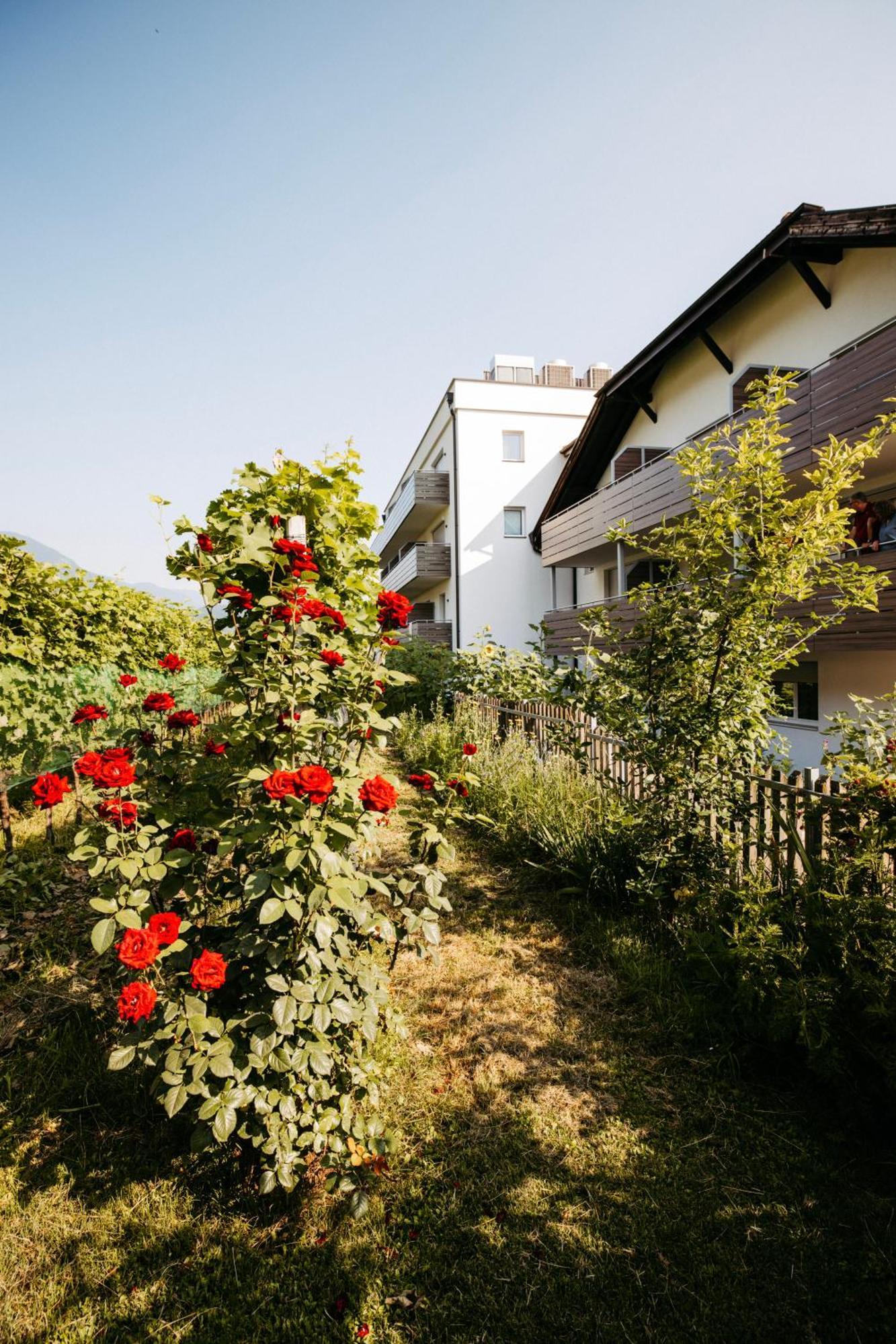 Hotel Gantkofel Andrian Exteriör bild